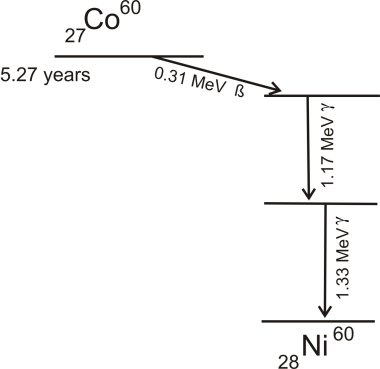 cobalt 60 radiation